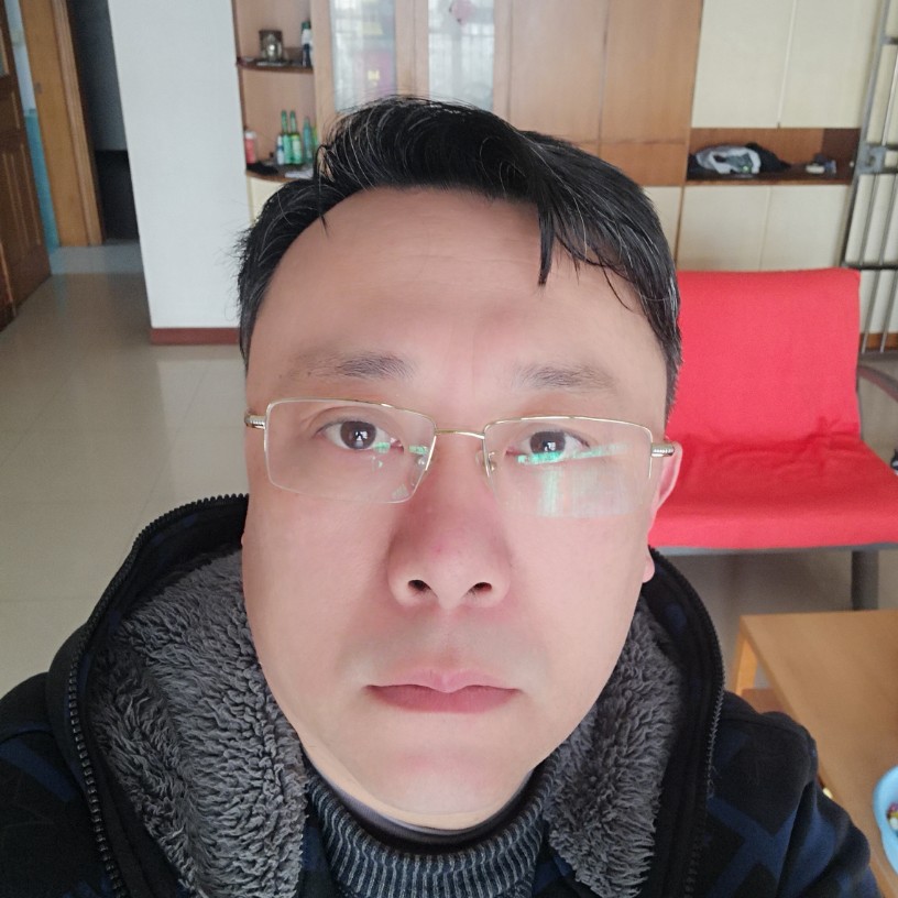 朴素相许树叶的照片