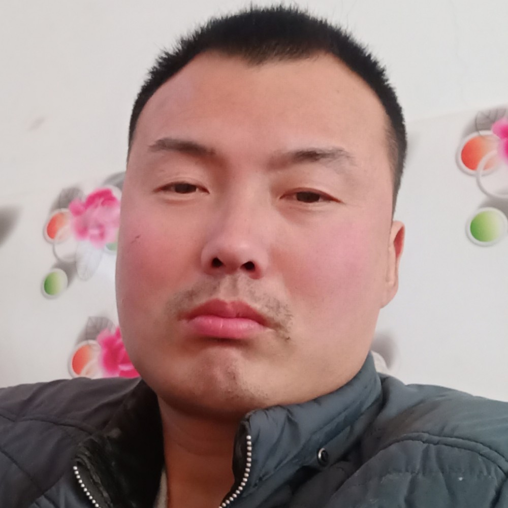 黄蜂搞怪的照片