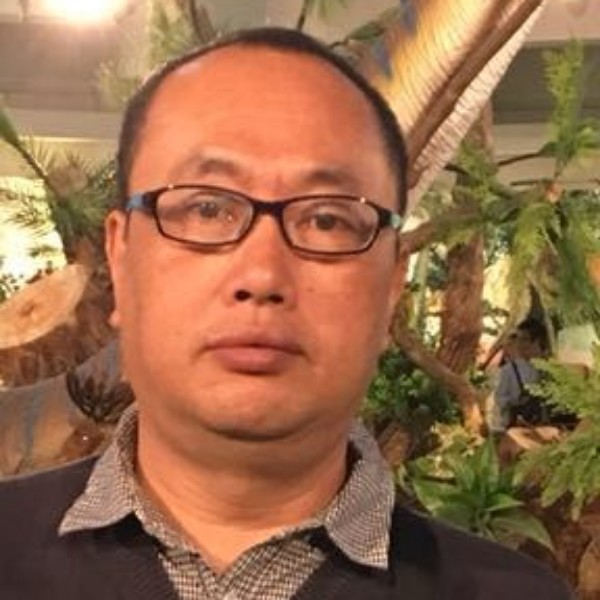 绿草矮小的照片