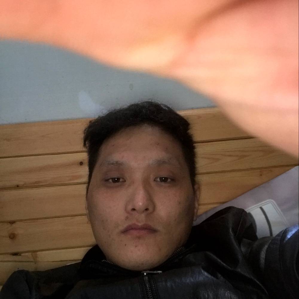 纯真苦恋树叶的照片