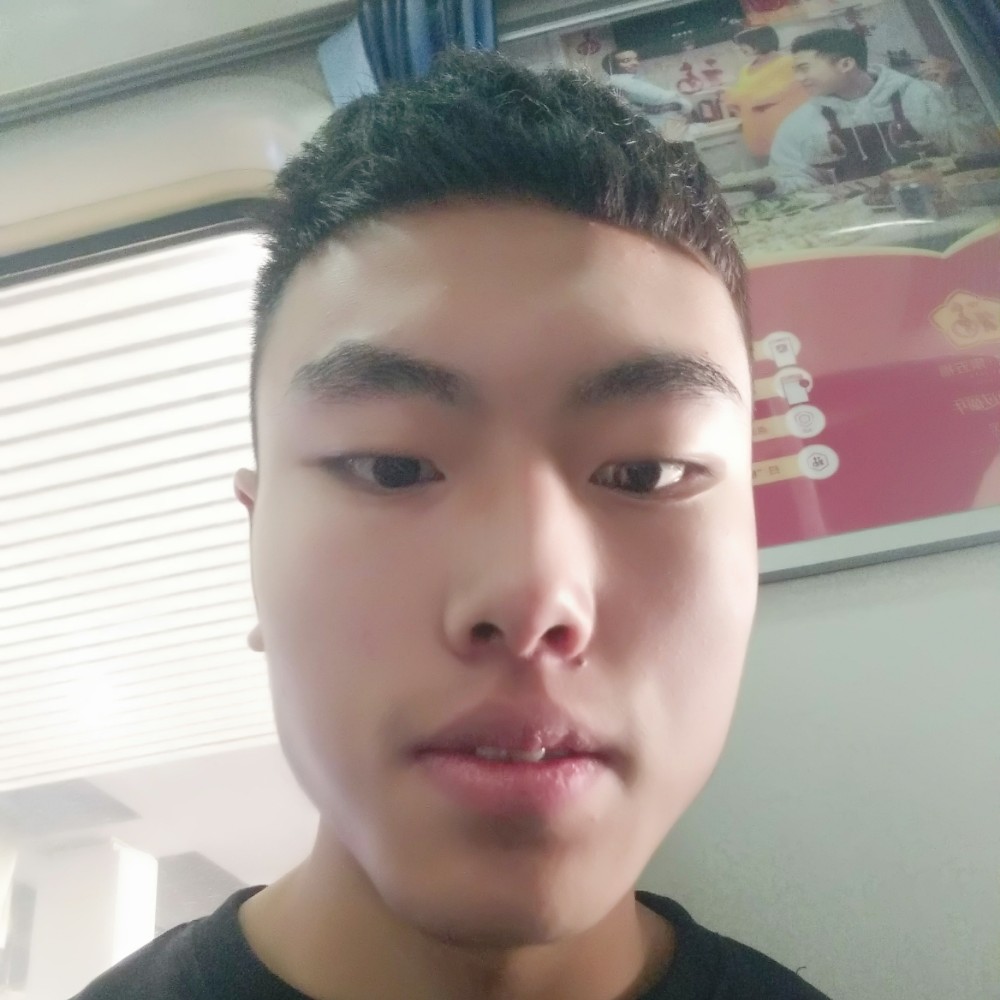 从容的龙猫的照片