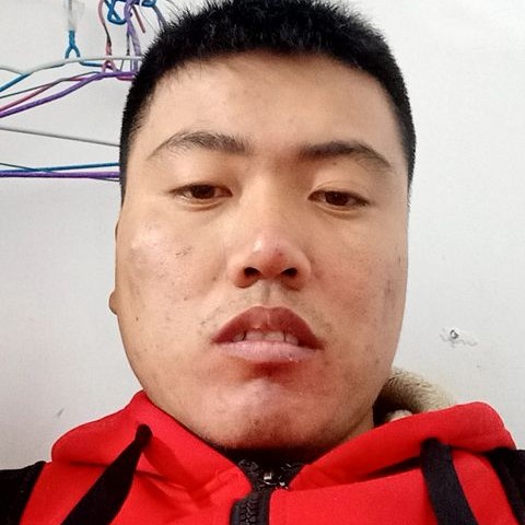 黑米等待无心的照片