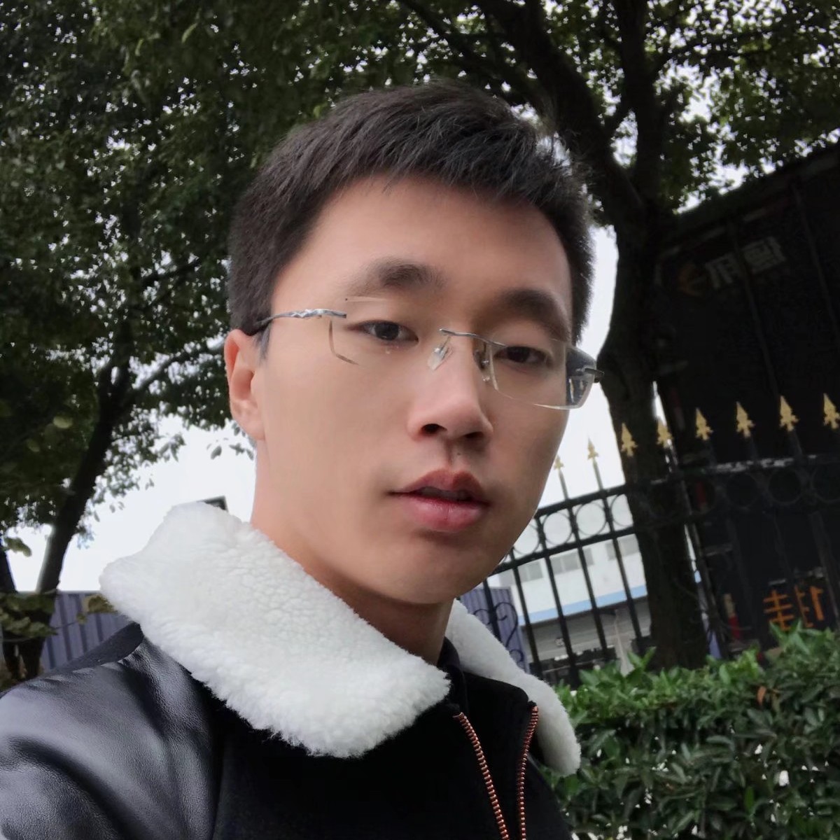 潇洒的鼠标的照片