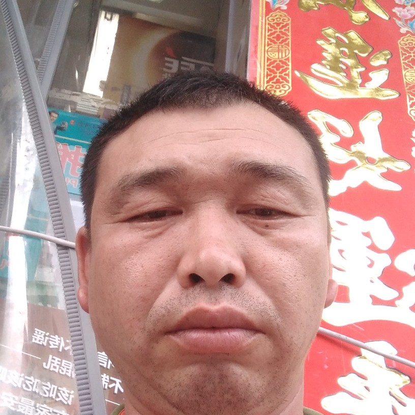 蜻蜓蹁跹坚定的照片