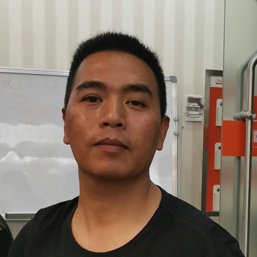 菠萝平常的照片