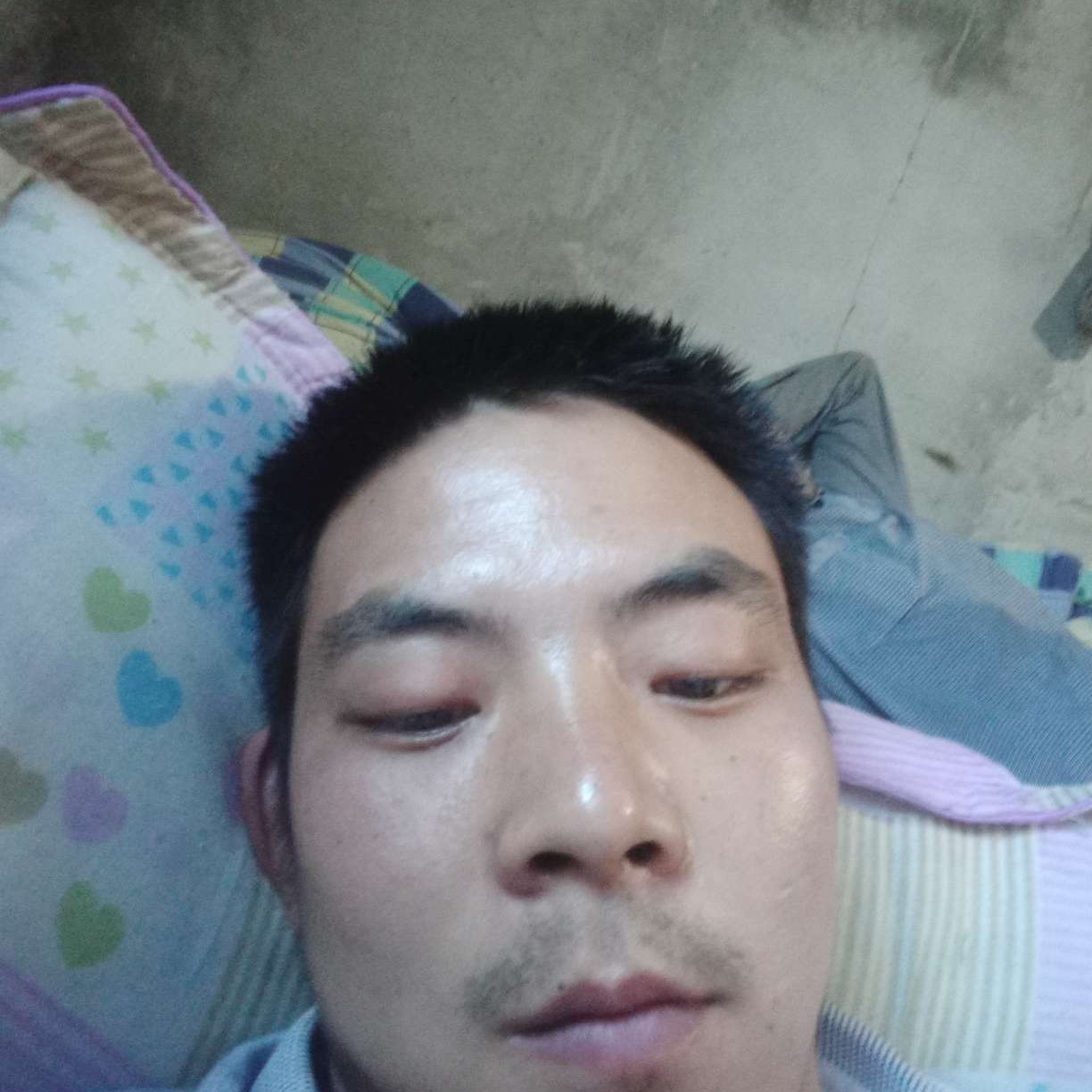 无辜回首豌豆的照片