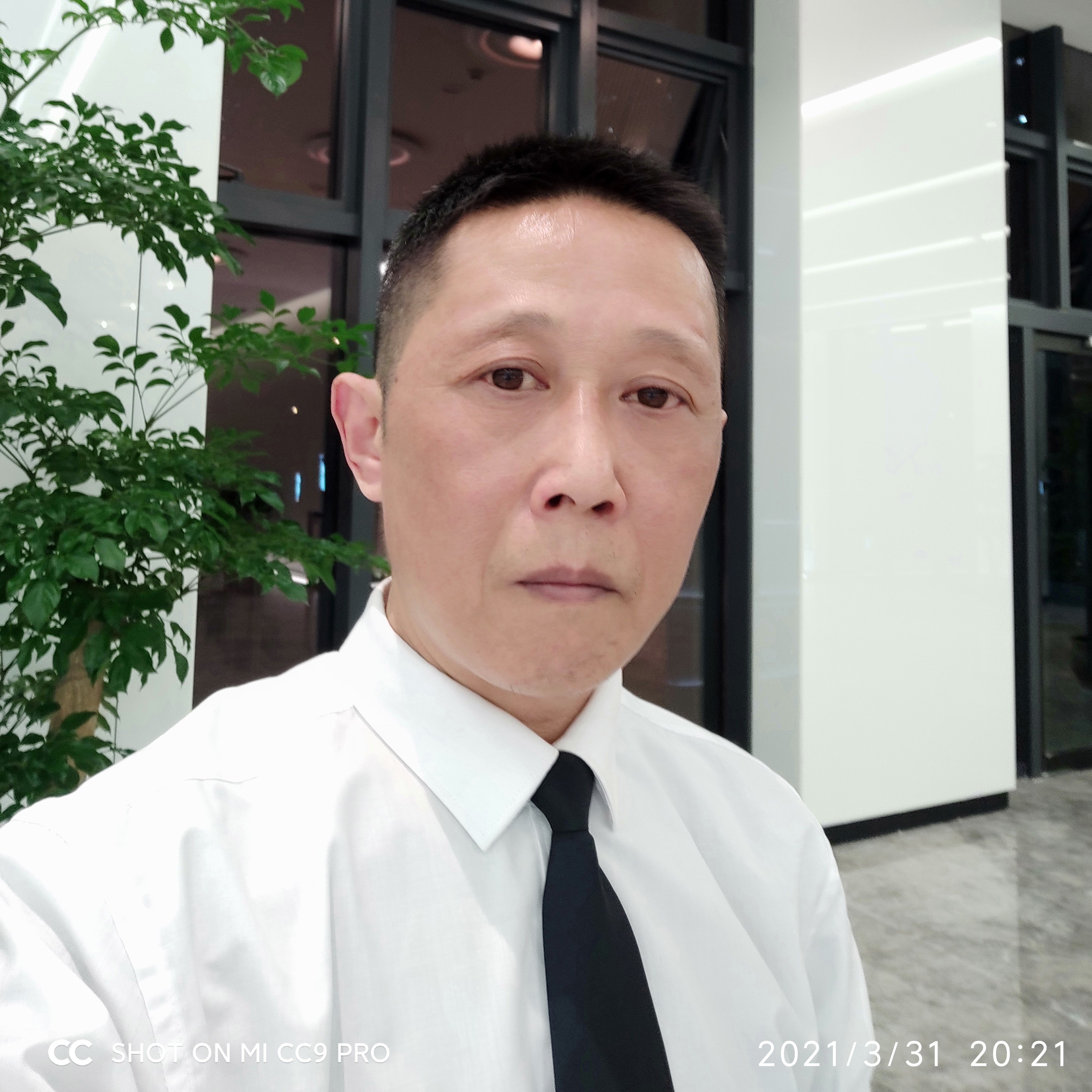 合适蹁跹长颈鹿的照片