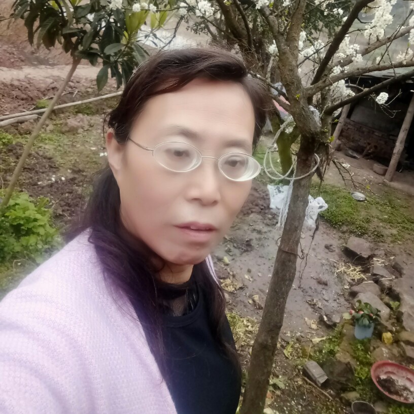 指间旋律的照片