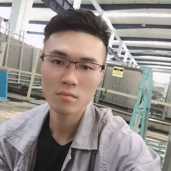 大气浅吻猎豹的照片