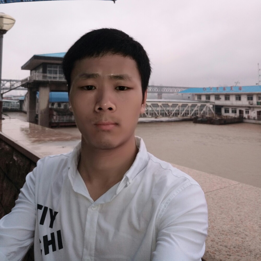 呆呆猫的照片