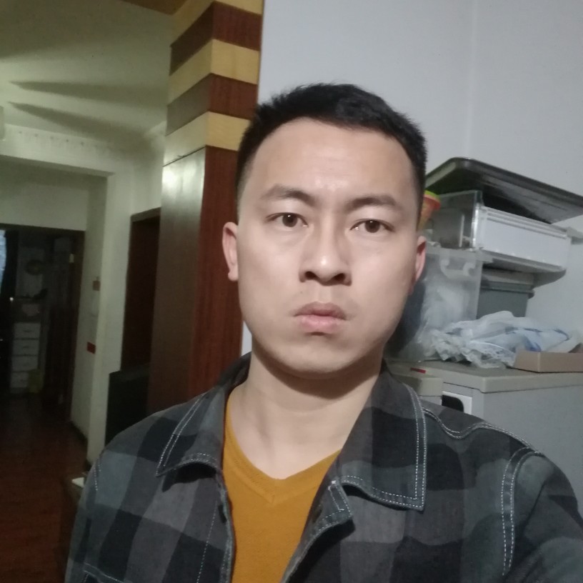 猫咪凝眸的照片