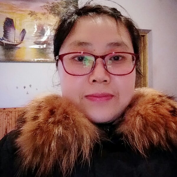 优雅太阳的照片