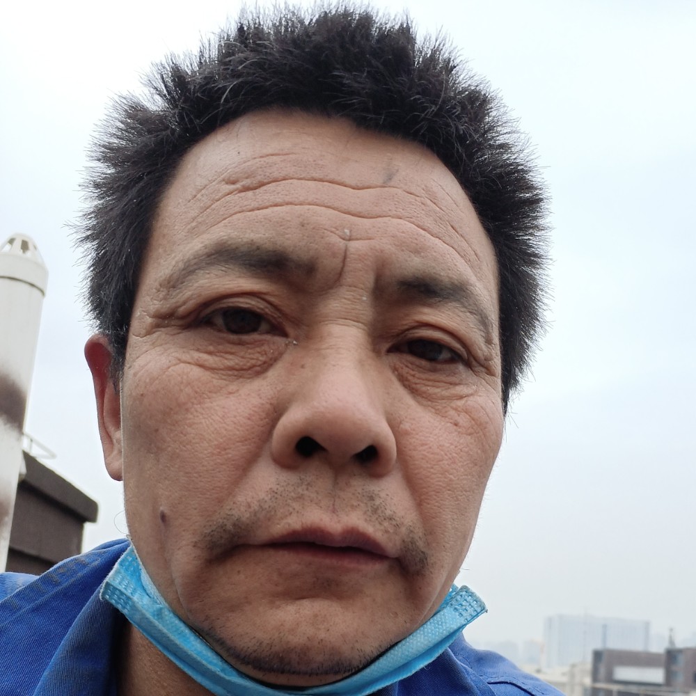 小熊猫凝眸贤惠的照片