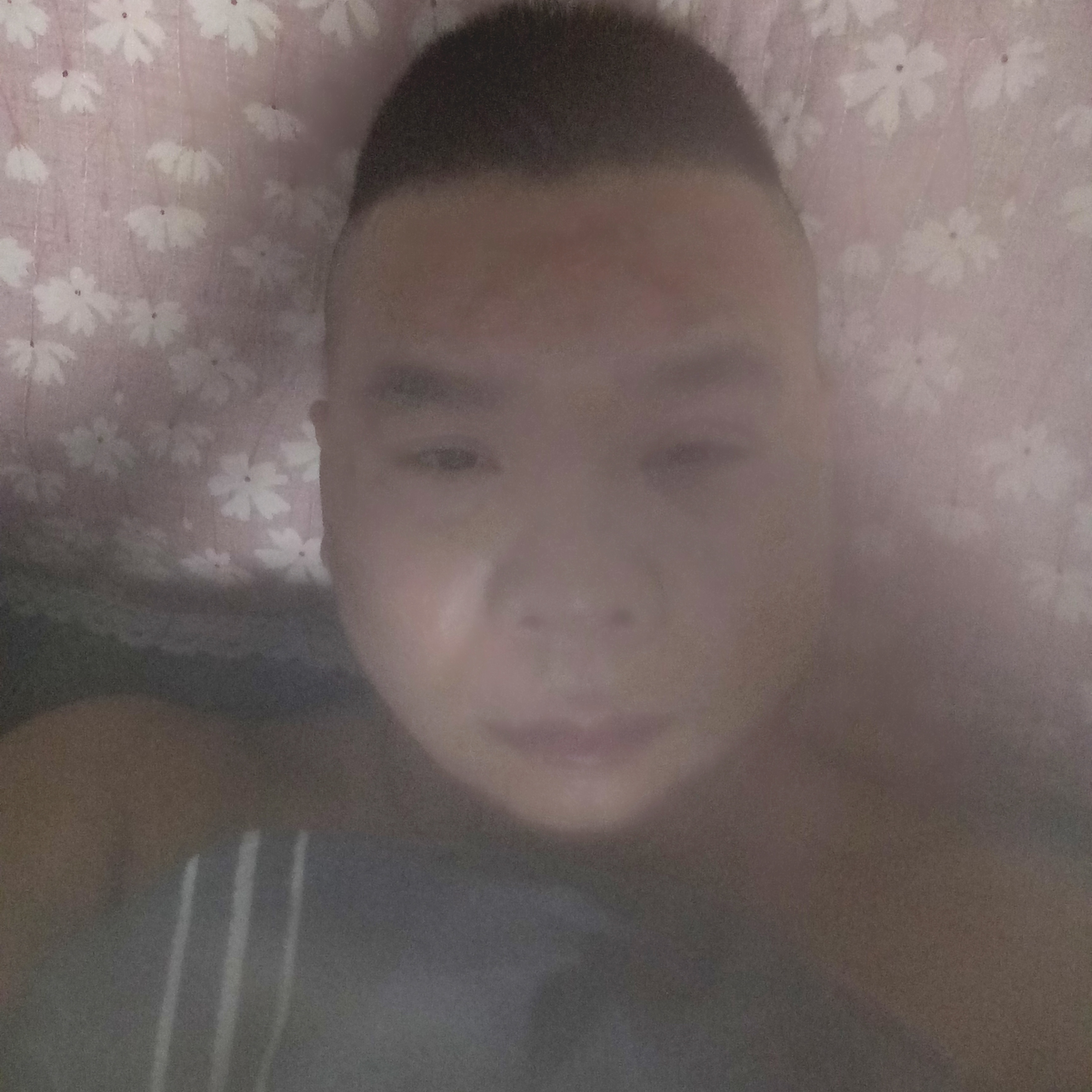 回家的路最美的照片