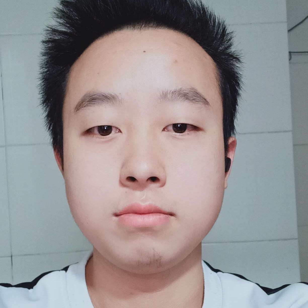 蜗牛的单身的照片
