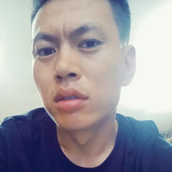落拓玫瑰的照片