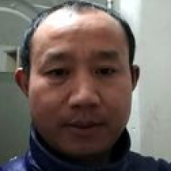 温柔的向日葵的照片