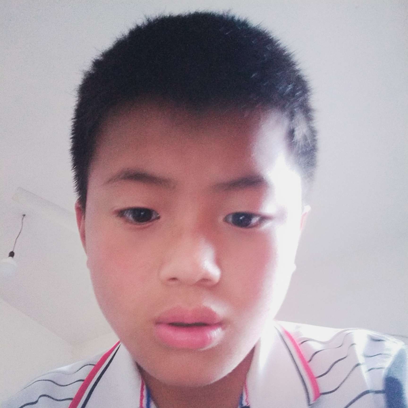 大雁蹁跹不听话的的照片