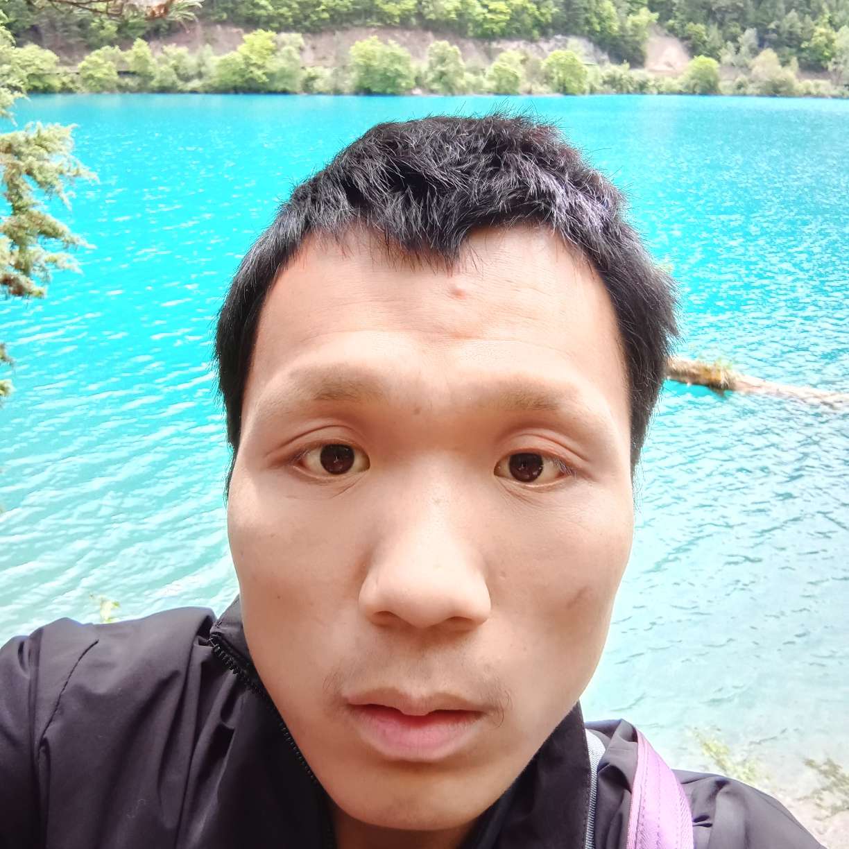 自觉放弃星月的照片