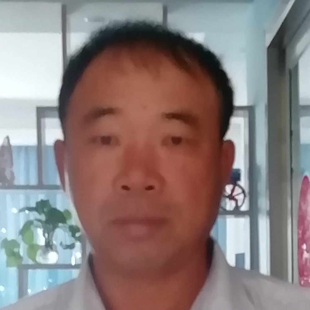 心向月的照片