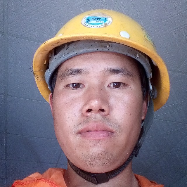 汉堡单身1的照片