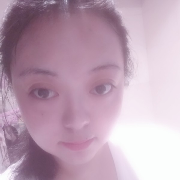 向日葵独特的照片