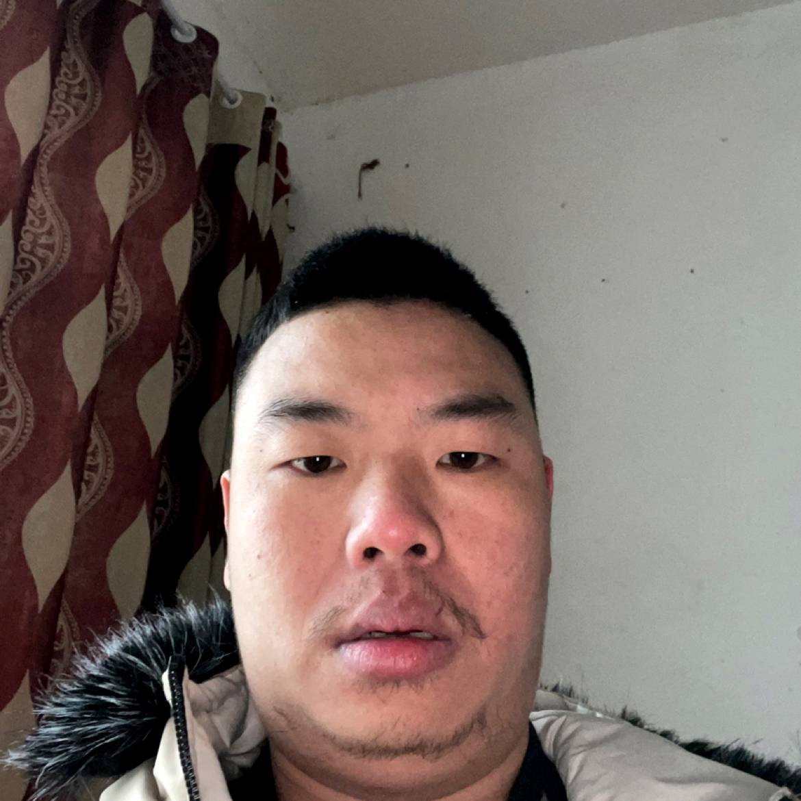 芝麻挽手高大的照片