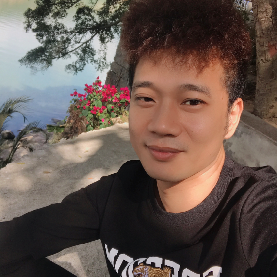 苗条蹁跹鸡的照片