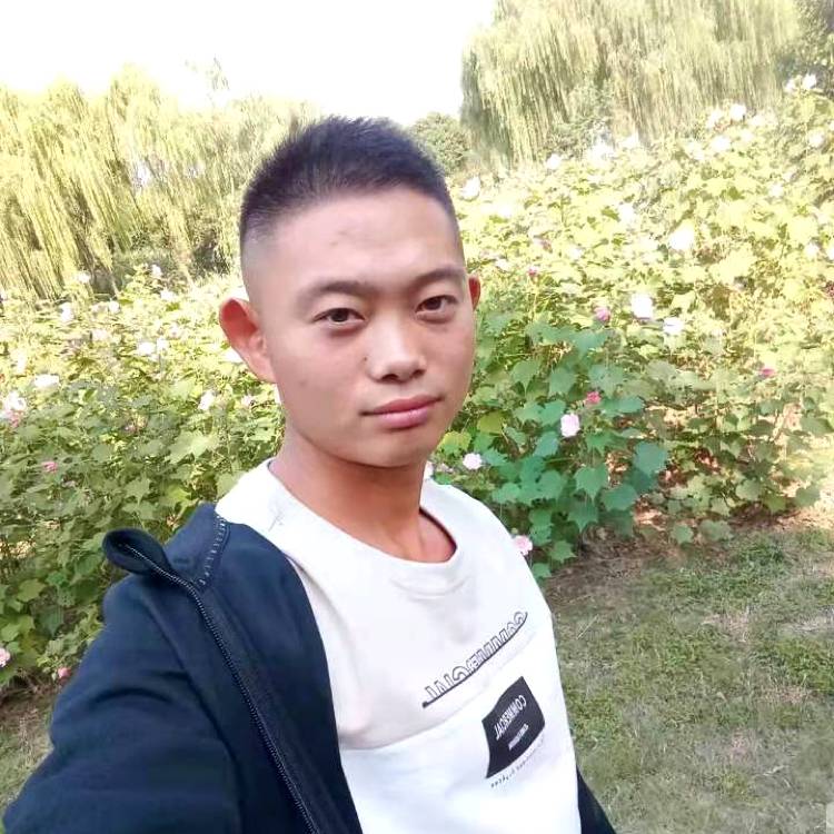 彼此的爱的照片