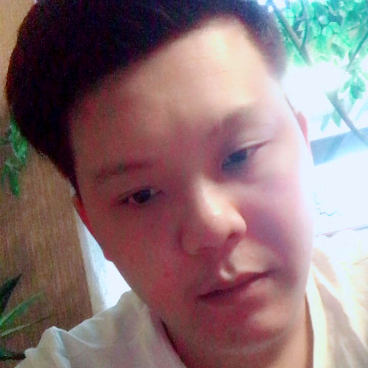 曲奇拾忆淡然的照片