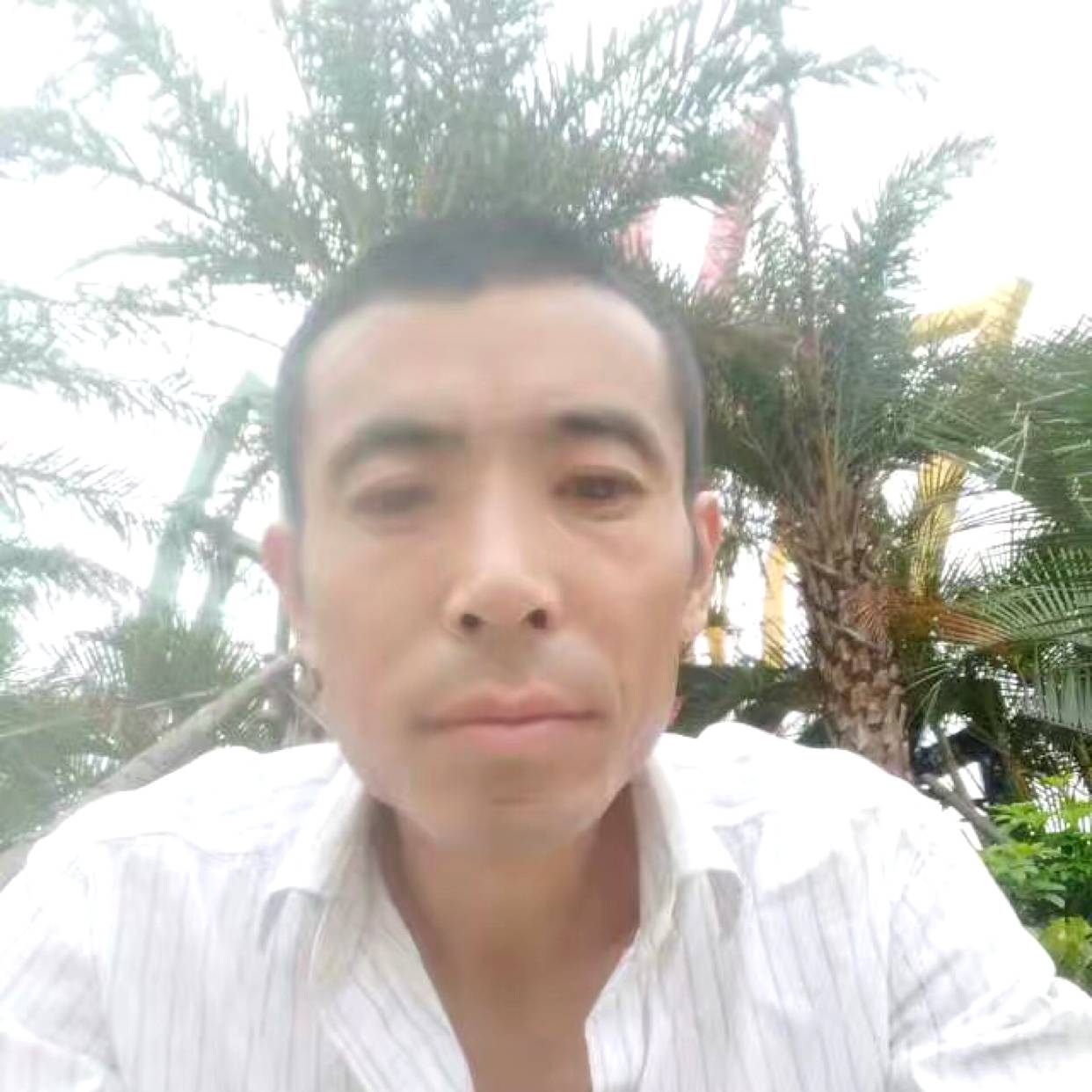 默默打西安的照片