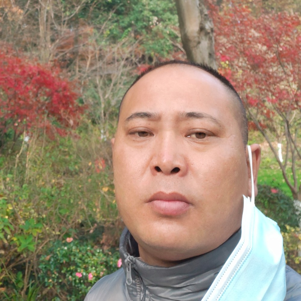 风趣的枫叶的照片