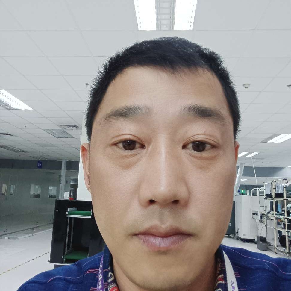小猫咪停止听话的照片