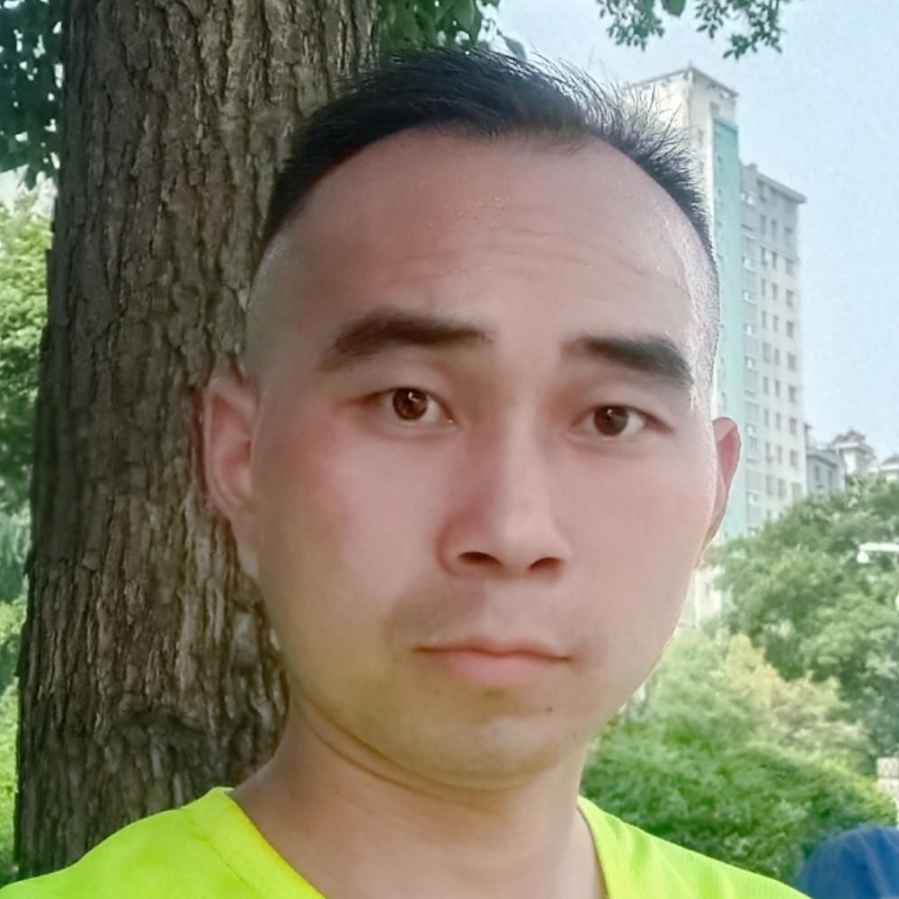 海燕相许阳光的照片
