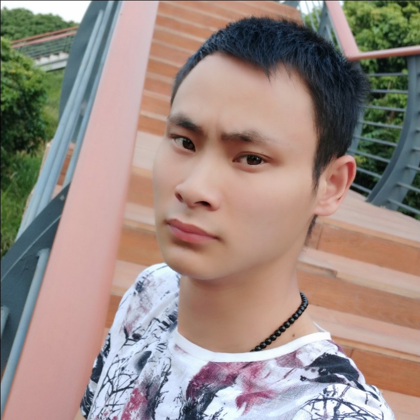 广西红柿的照片