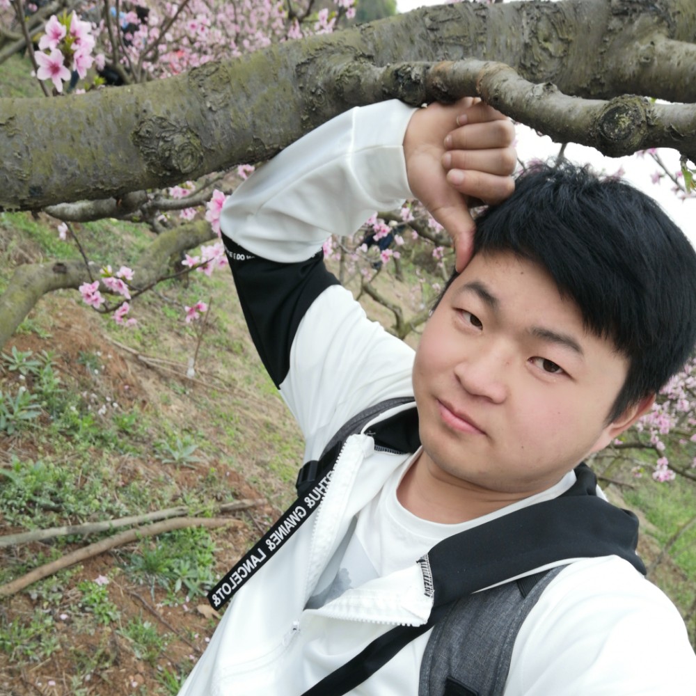 孤單相许树叶的照片