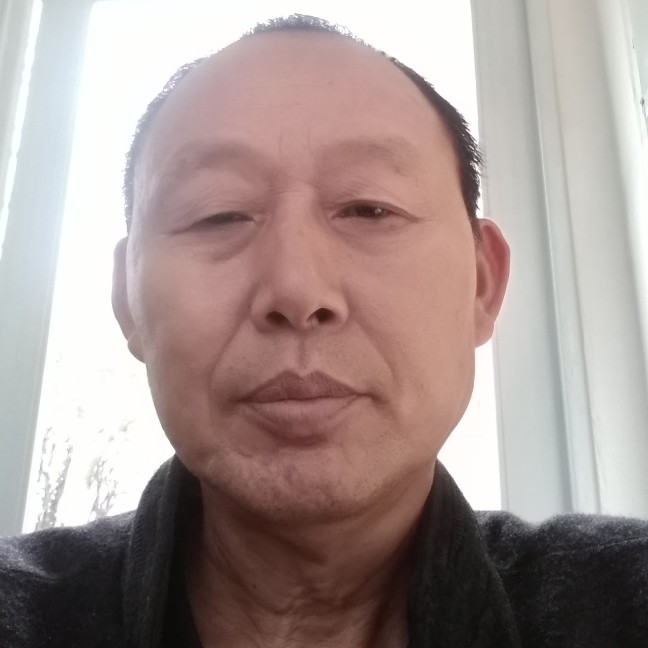 欢呼吃醋金毛的照片