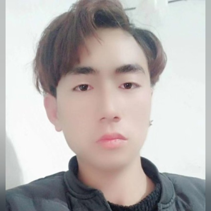 百合平淡701的照片