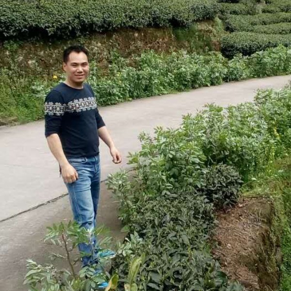 侦探社的照片