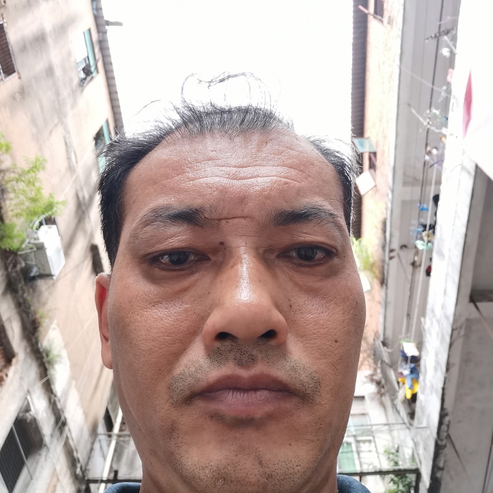 错落的荼蘼的照片