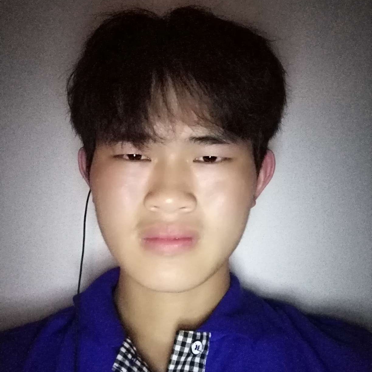 聆听枫林的照片