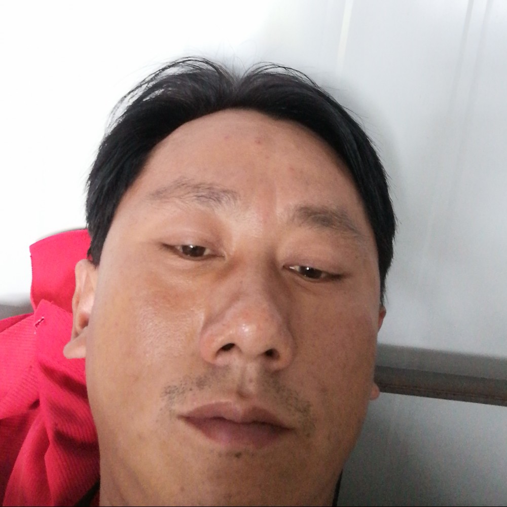 迎孤心的照片