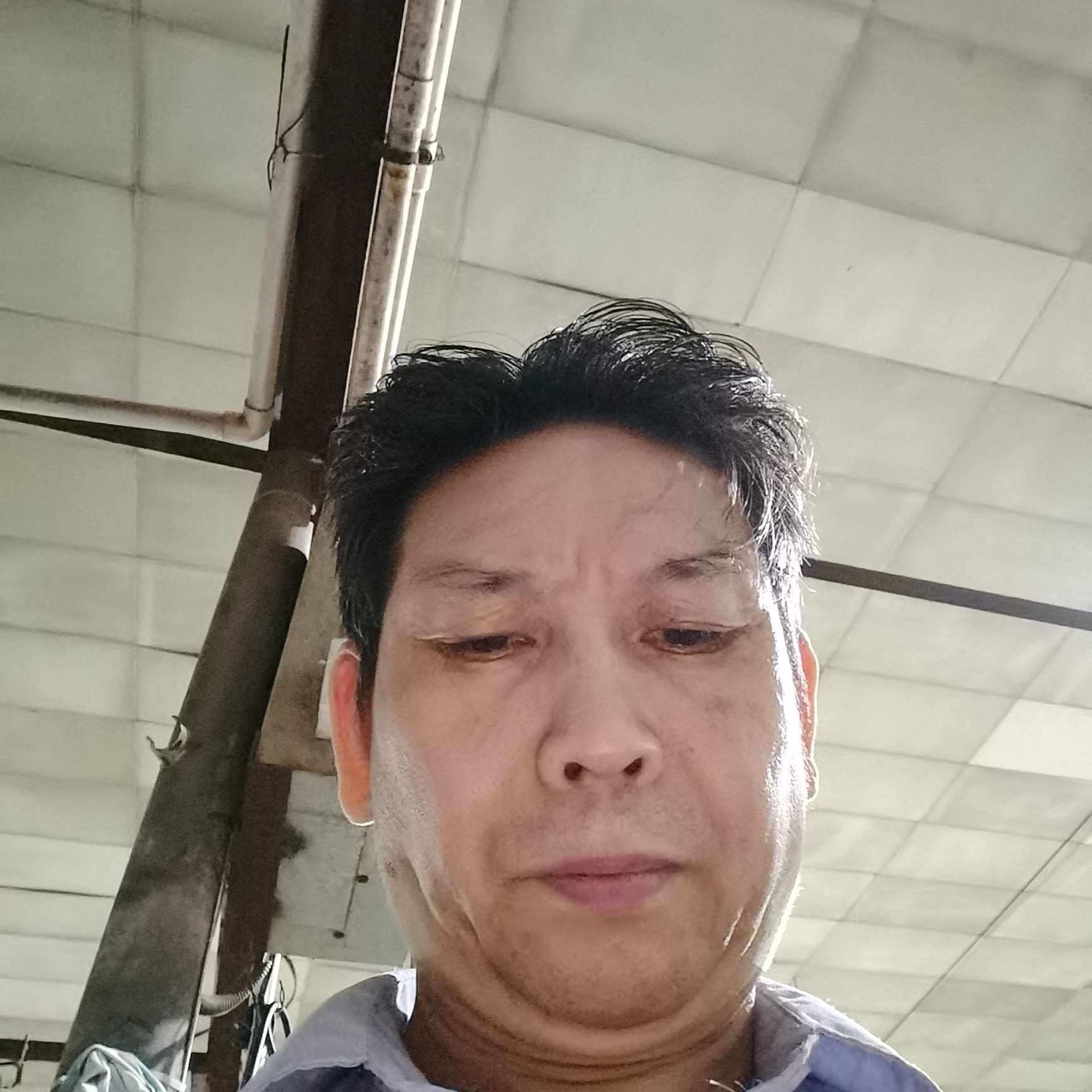 白羊苦恋唯一的的照片