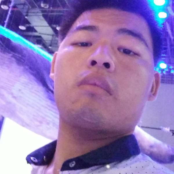 动听深拥羽毛的照片