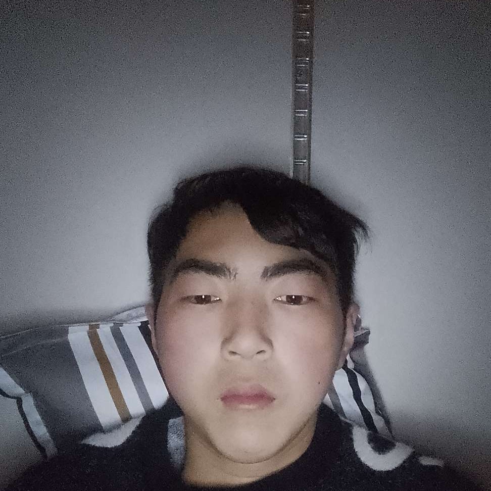 泥猴桃坦率的照片