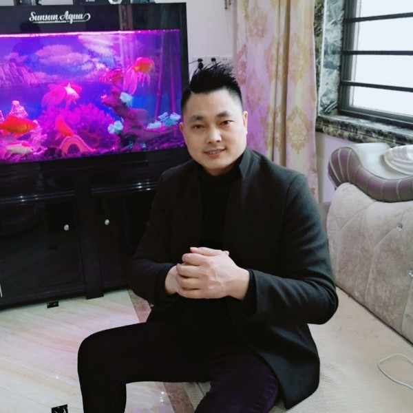 奋进的旋律的照片