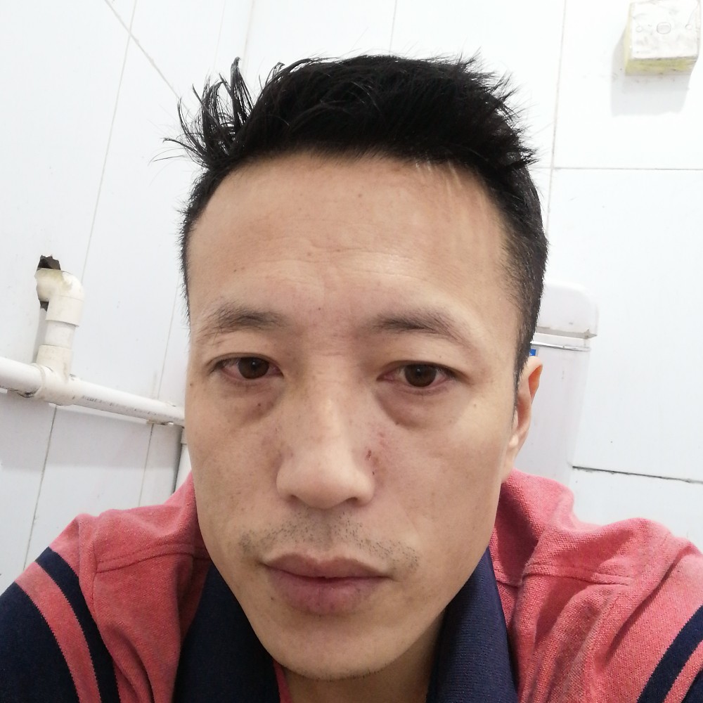 蜻蜓激动的照片