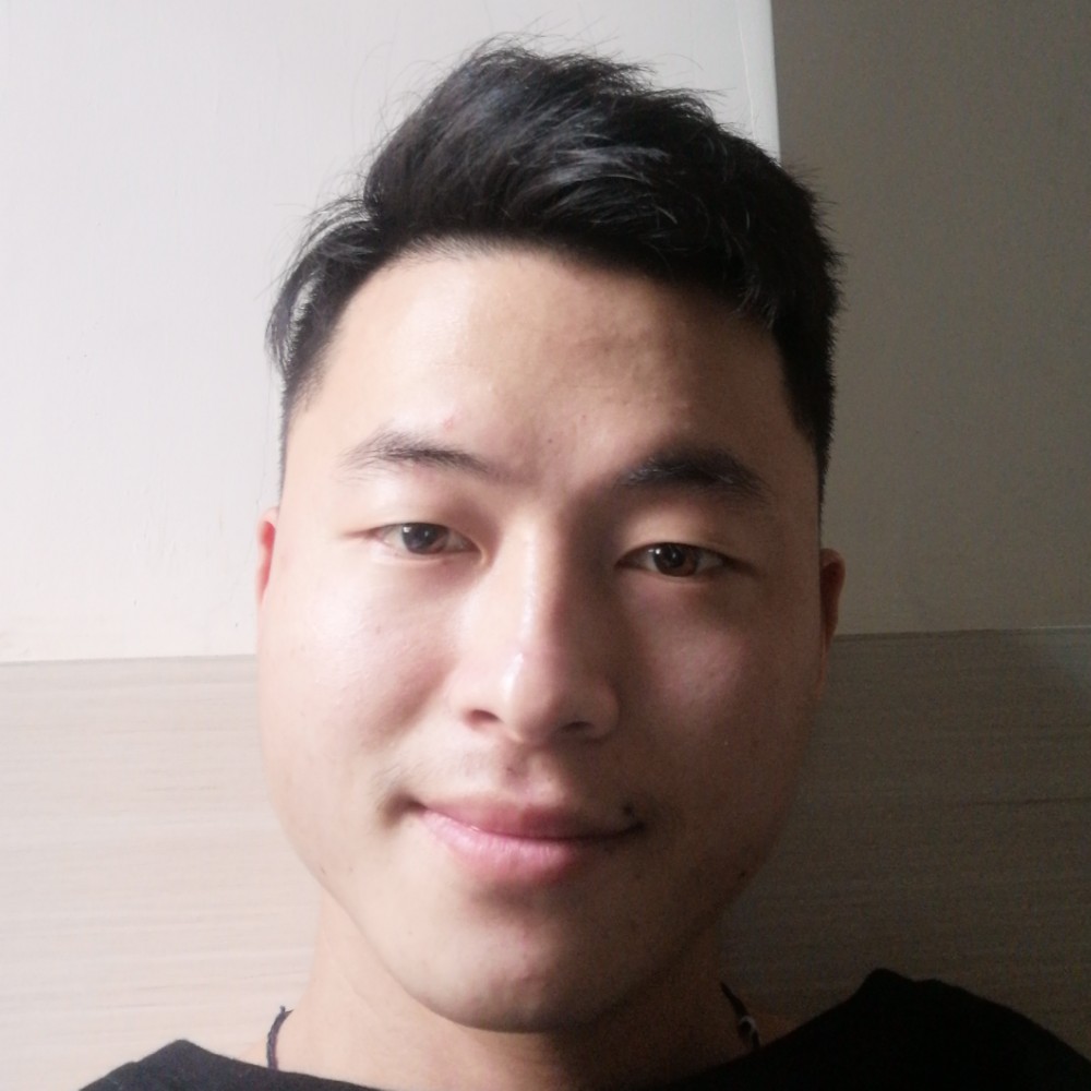 羽毛有坚定的照片