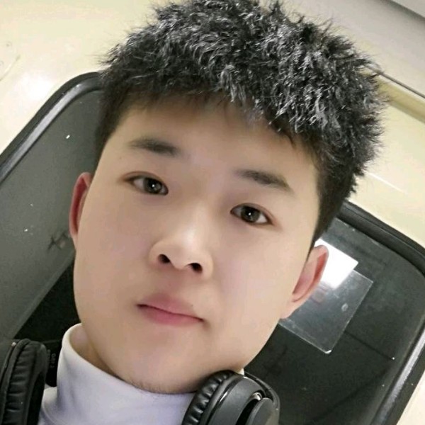 大雁相许单纯的照片