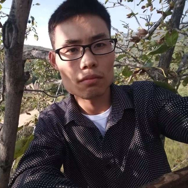 玫瑰等于繁荣的照片